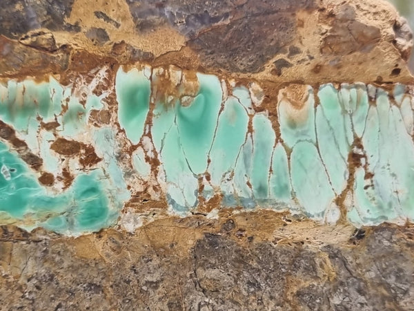Variscite Polished rock.  VP 267
