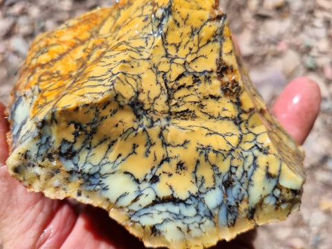 Dendritic Opal  rough.  DOR226