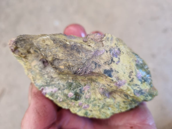 Rough Stichtite in Serpentine (Atlantisite) STR130