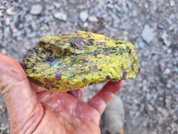 Rough Stichtite in Serpentine (Atlantisite) STR130