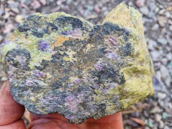 Rough Stichtite in Serpentine (Atlantisite) STR129