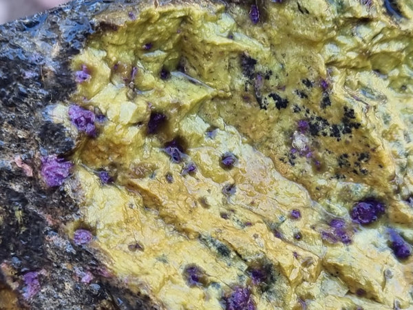 Rough Stichtite in Serpentine (Atlantisite) STR129