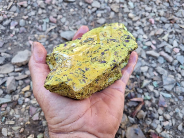 Rough Stichtite in Serpentine (Atlantisite) STR129
