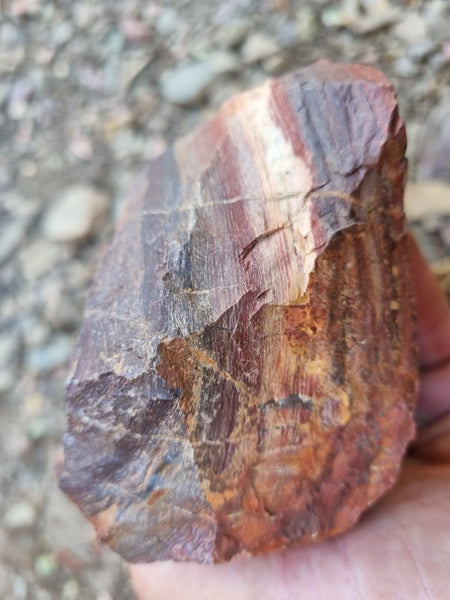 Snakeskin Jasper rough.  SSR 146