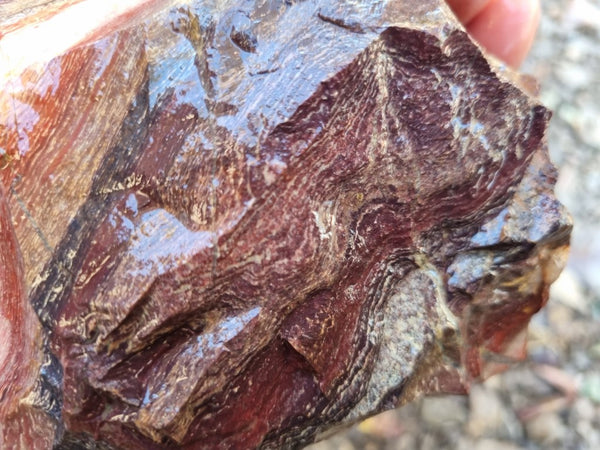 Snakeskin Jasper rough.  SSR 146