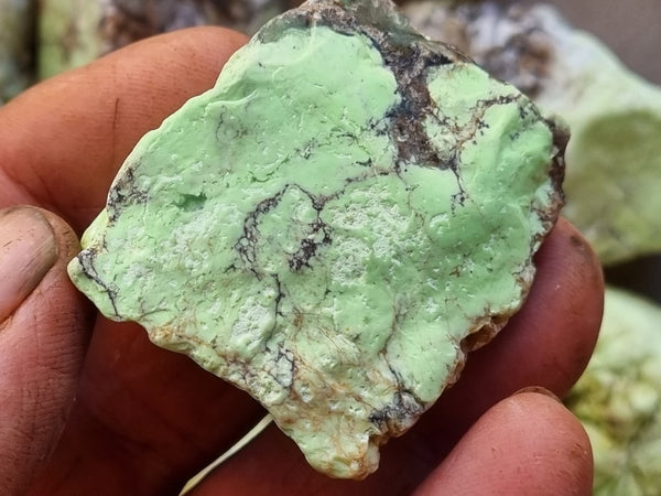 Lime magnesite rough. LMR 103 – GemstoneGeeks.