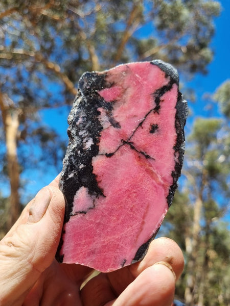 Polished Rhodonite slab RH263