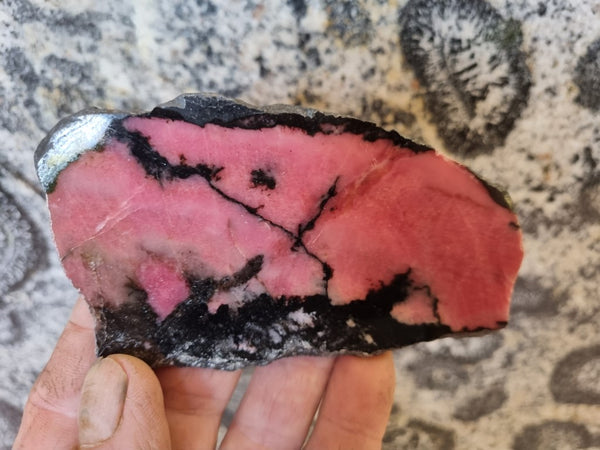 Polished Rhodonite slab RH263