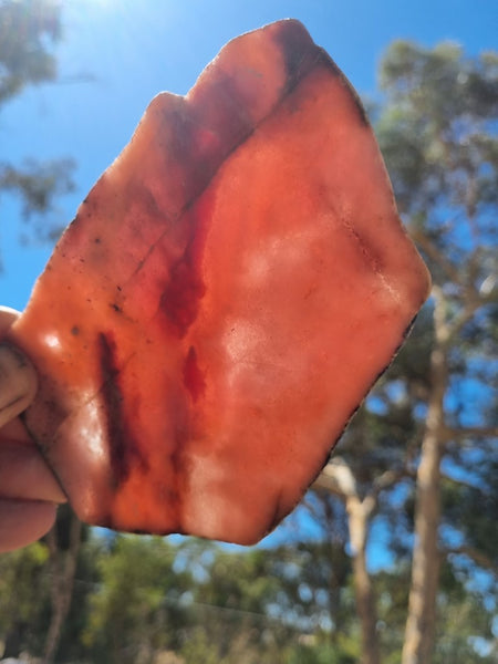 Polished Rhodonite slab RH262