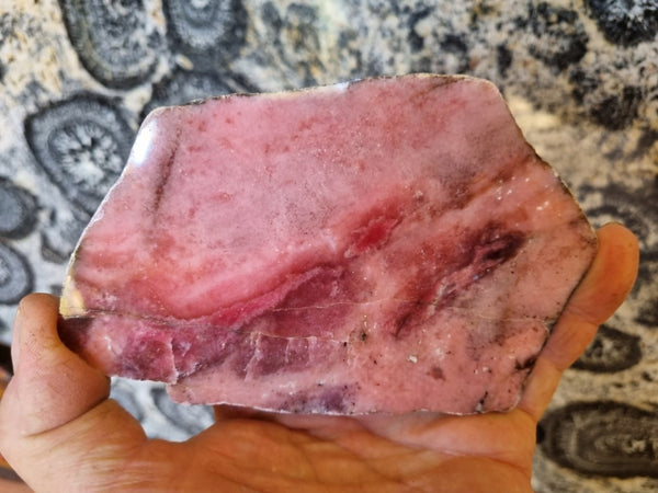 Polished Rhodonite slab RH262