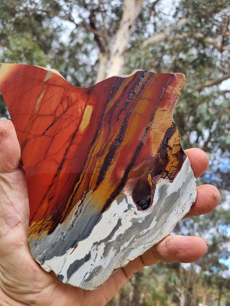 Sunset Jasper polished slab SU151