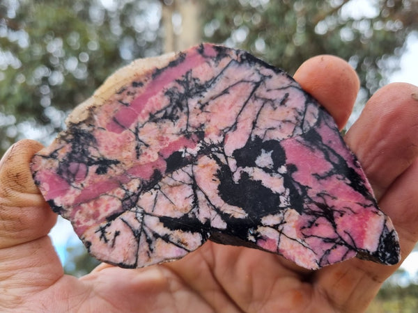 Polished Rhodonite slab RH264