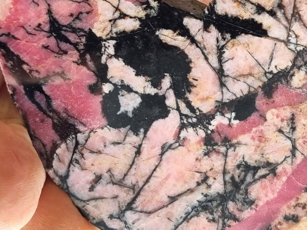 Polished Rhodonite slab RH264