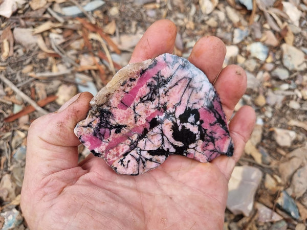 Polished Rhodonite slab RH264