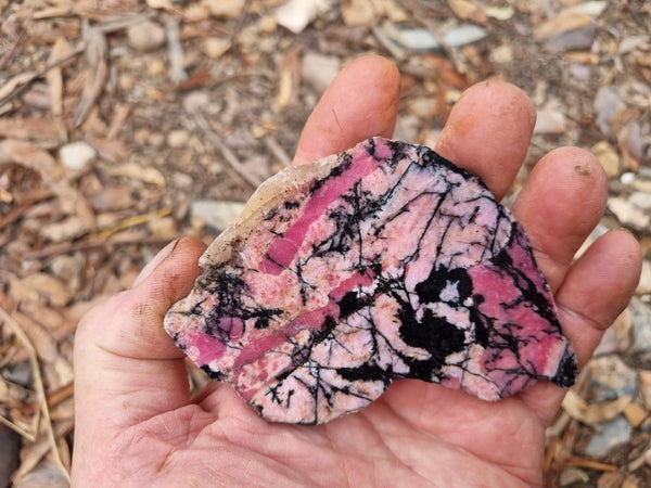 Polished Rhodonite slab RH264