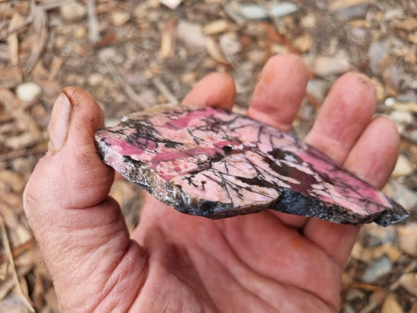 Polished Rhodonite slab RH264