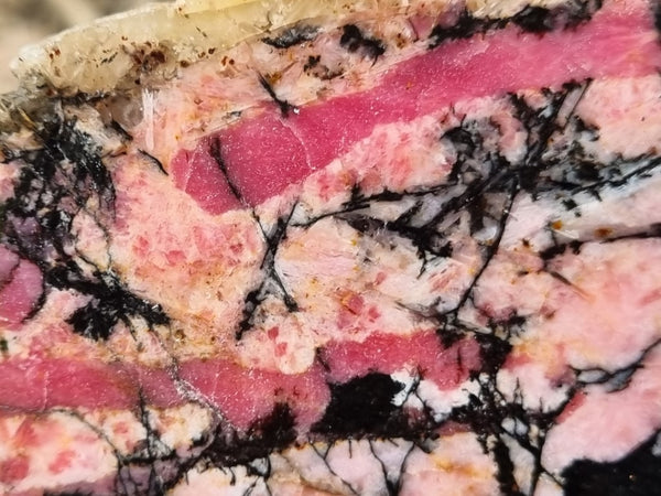 Polished Rhodonite slab RH264