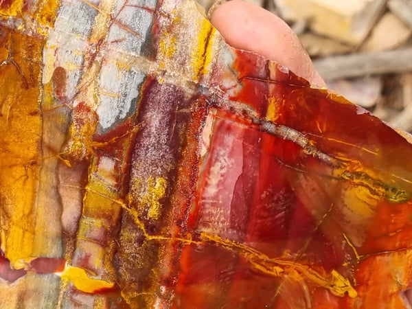 Sunset Jasper polished slab SU152