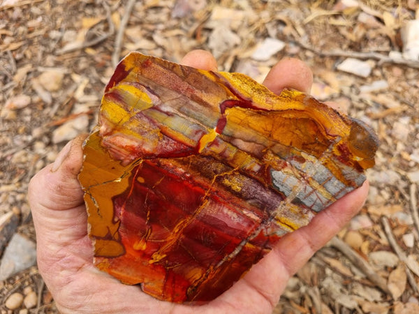 Sunset Jasper polished slab SU152