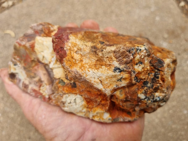 Polished Marillana Conglomerate MC108