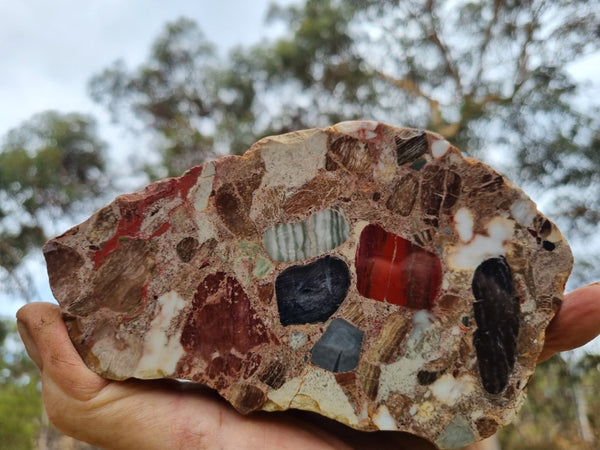 Polished Marillana Conglomerate MC108