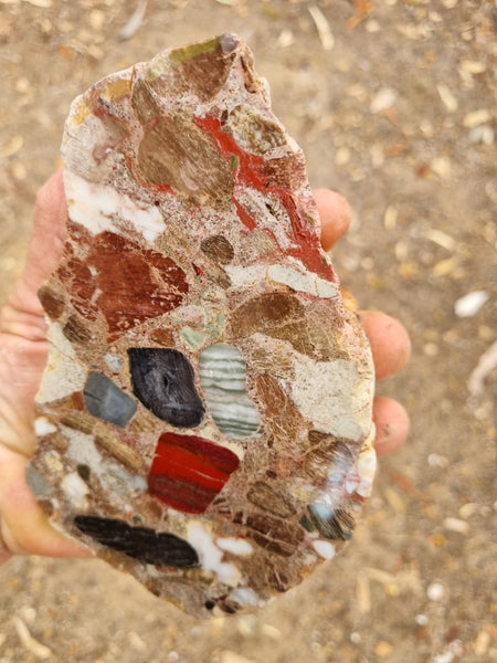 Polished Marillana Conglomerate MC108