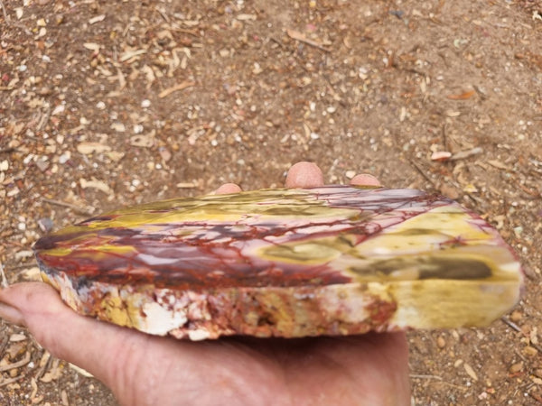 Polished Mookaite slab MK382