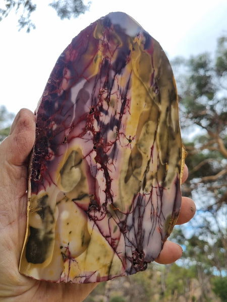 Polished Mookaite slab MK382