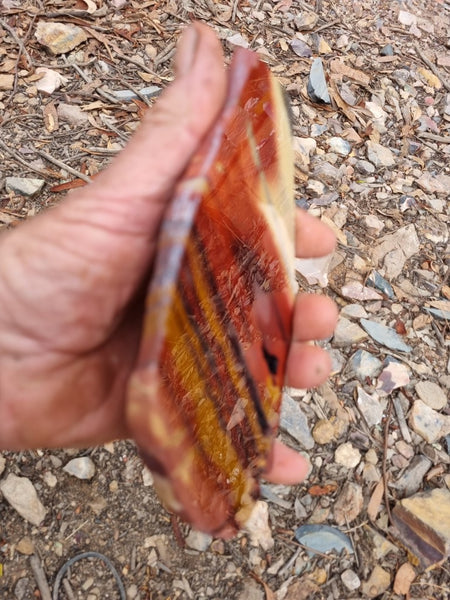 Sunset Jasper polished slab SU154