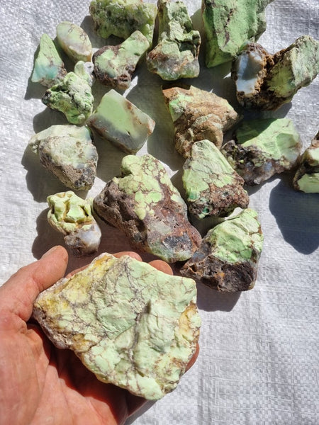 Lime magnesite rough.  LMR 104