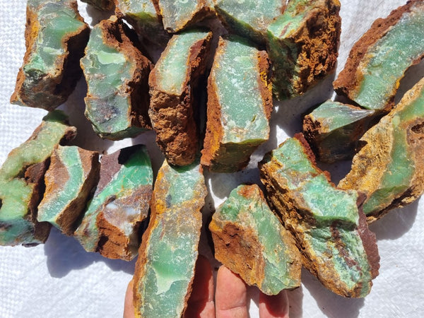 Chrysoprase rough.  CHR 178