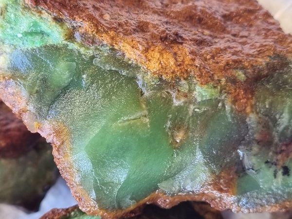 Chrysoprase rough.  CHR 178