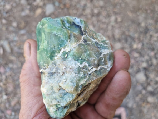 Green Opal  rough.  GOR 112