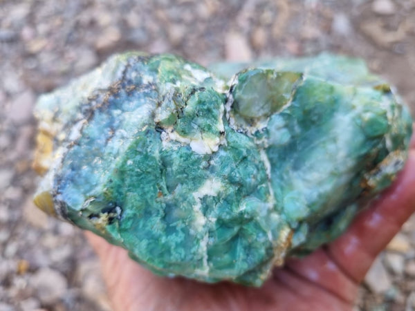 Green Opal  rough.  GOR 113