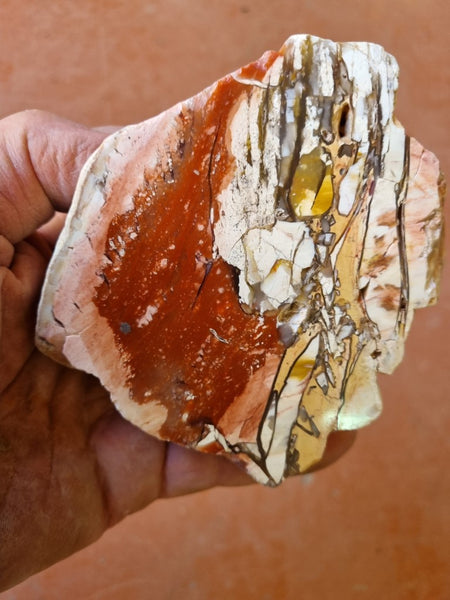 Polished Brecciated Mookaite rock BM292