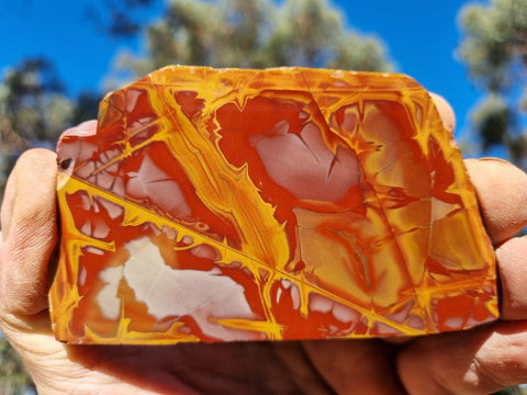 Polished Noreena Jasper slab. NJ436