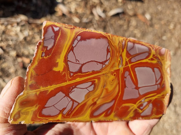 Polished Noreena Jasper. NJ433