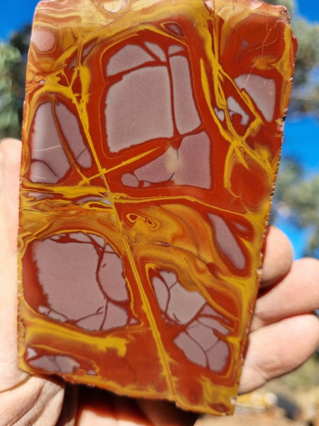 Polished Noreena Jasper. NJ433