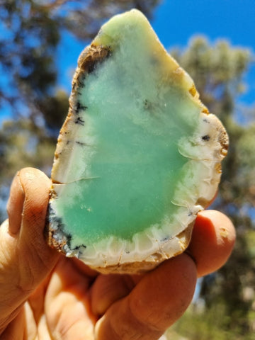 Polished Chrysoprase CH433