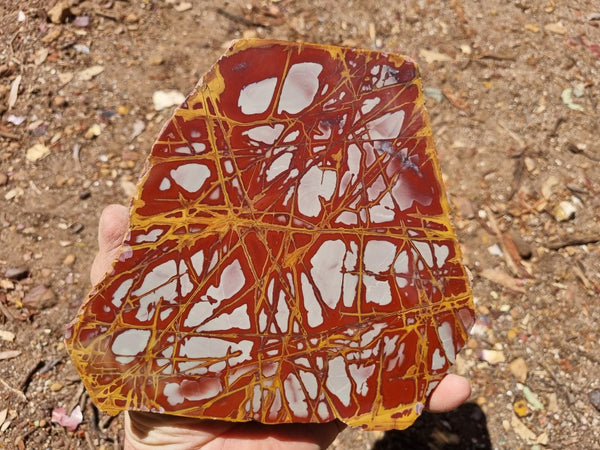 Polished Noreena Jasper slab. NJ437