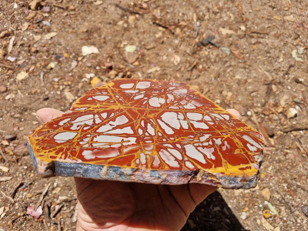 Polished Noreena Jasper slab. NJ437