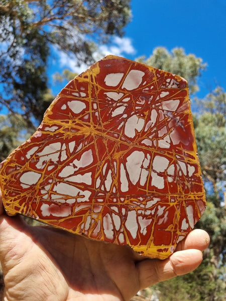 Polished Noreena Jasper slab. NJ437