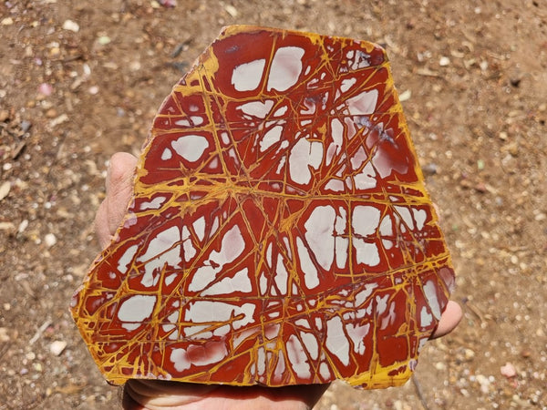 Polished Noreena Jasper slab. NJ437