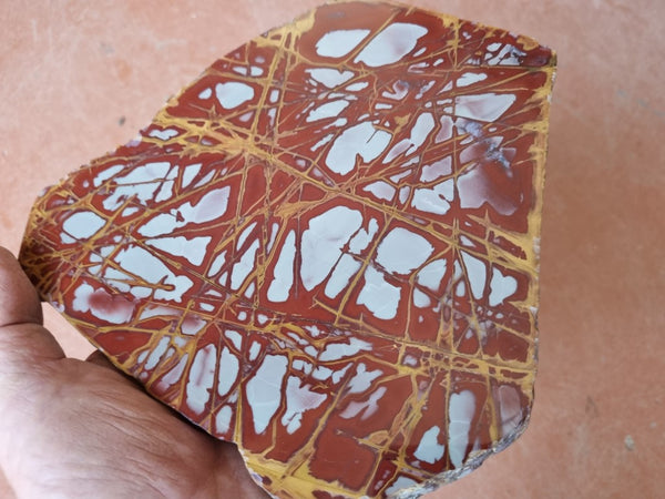 Polished Noreena Jasper slab. NJ437