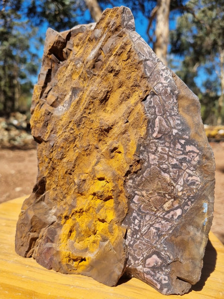 Polished Outback Jasper  OJ164