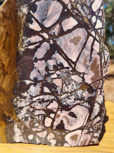 Polished Outback Jasper  OJ164