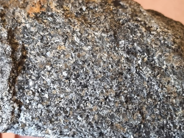 Polished Orbicular Granite. OG178