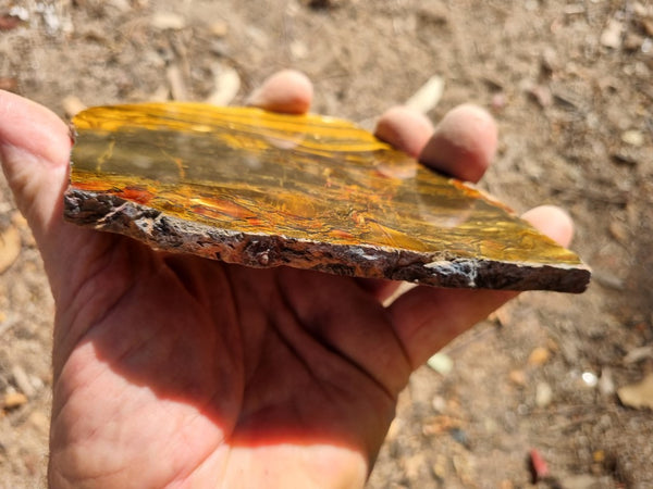 Polished Tiger Eye slab TE381