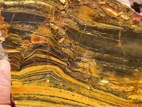 Polished Tiger Eye slab TE381