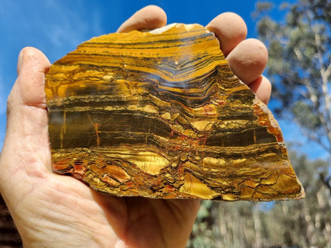 Polished Tiger Eye slab TE381